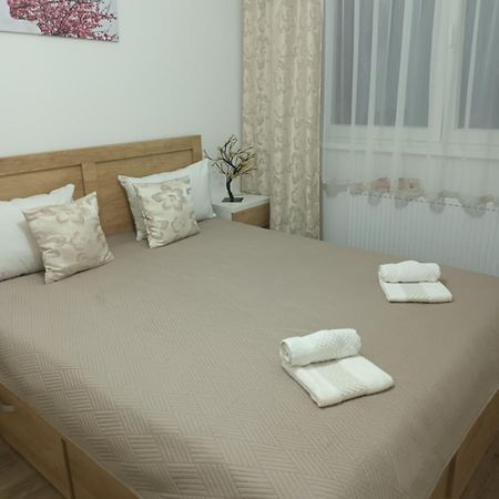 Katarina 3 Apartamento Banja Koviljača Exterior foto