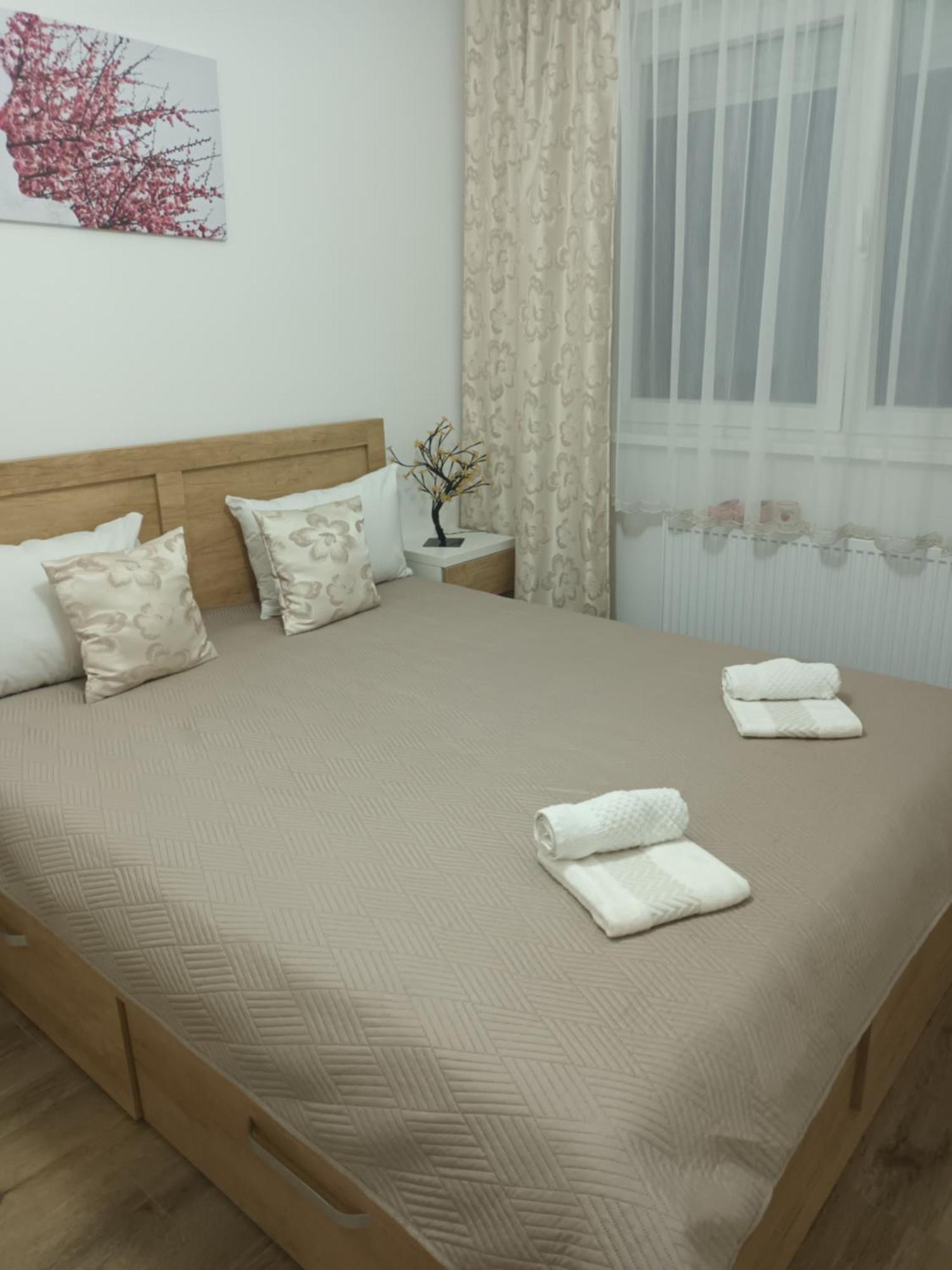 Katarina 3 Apartamento Banja Koviljača Exterior foto